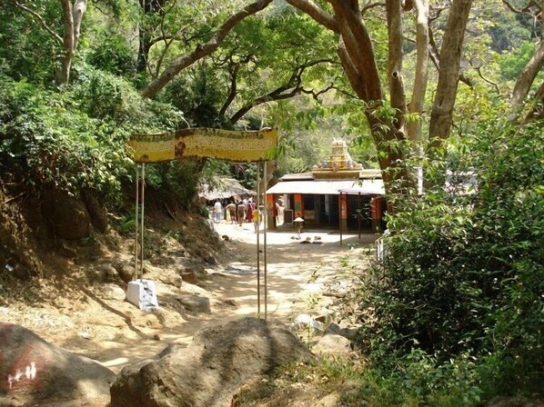 A pathway leading to a temple with a signboard, surrounded by lush greenery and trees. - Orchard Valley Resort (Shenkottai)