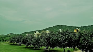 Ecotours