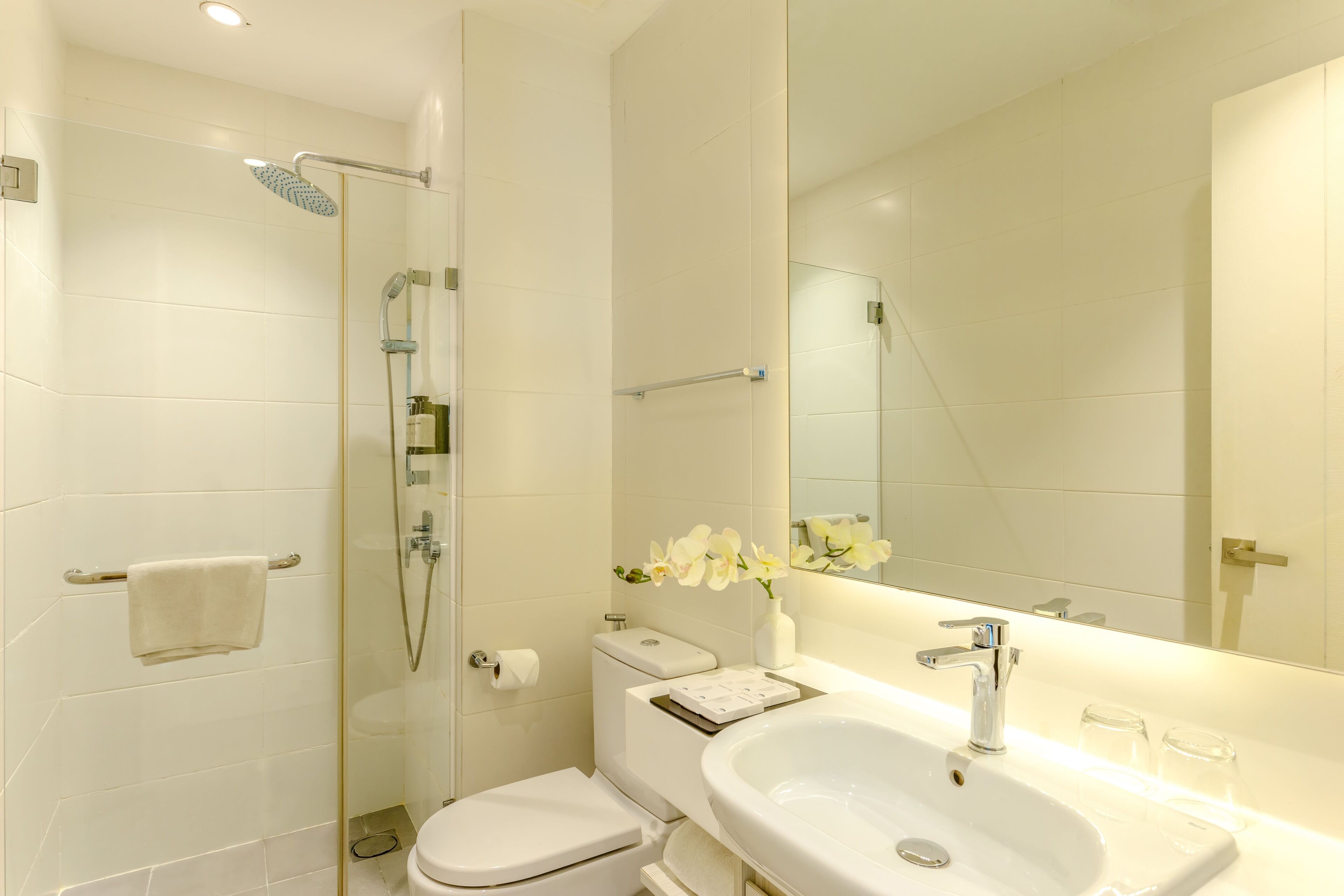 A modern bathroom with a glass-enclosed shower, a white toilet, and a large sink with a mirror above it.