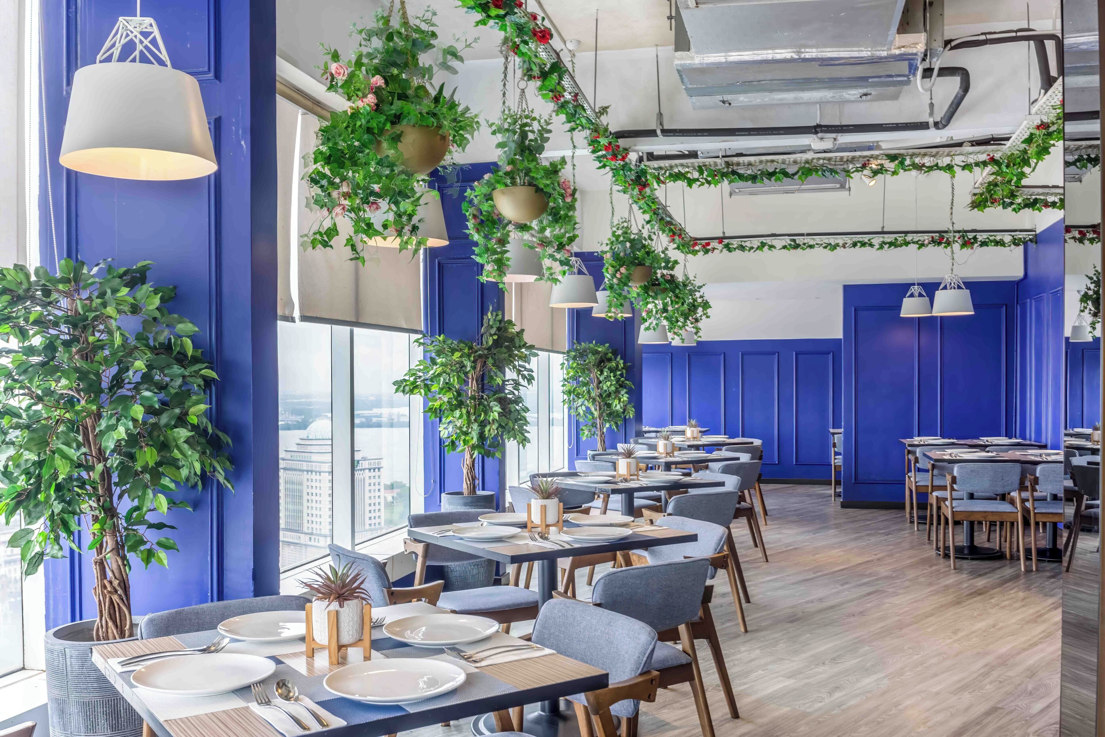 Interior modern d'un restaurant amb parets blaves, plantes penjants i taules i cadires ben ordenades.