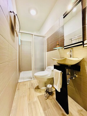 Sink, mirror, glass shower, toilet, and wooden floor.