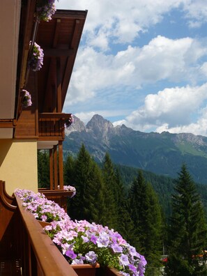 Un balcone in legno con vasi fioriti e vista sulle montagne.