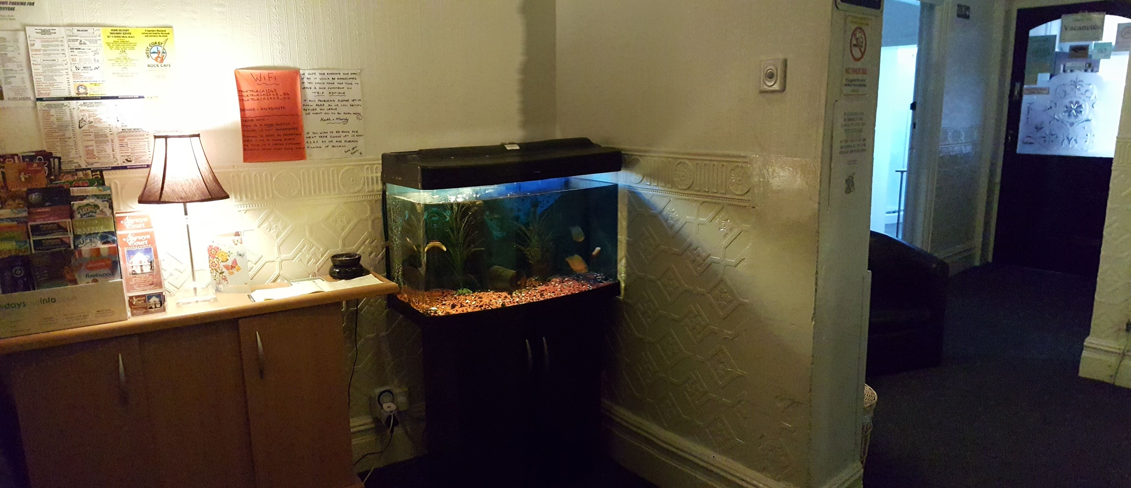 Un acuario en un rincón de una habitación, con un tablón de anuncios y una lámpara.