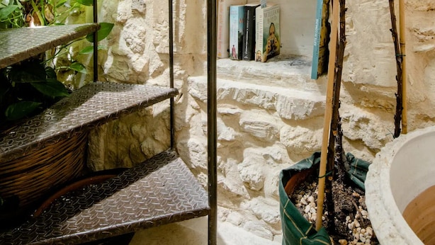 Una escalera con pared de piedra, barandilla de vidrio y una planta en maceta.