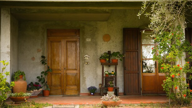 Un edificio rústico con puerta de madera, plantas en macetas y un pequeño jardín.