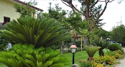 Agriturismo La Lestra