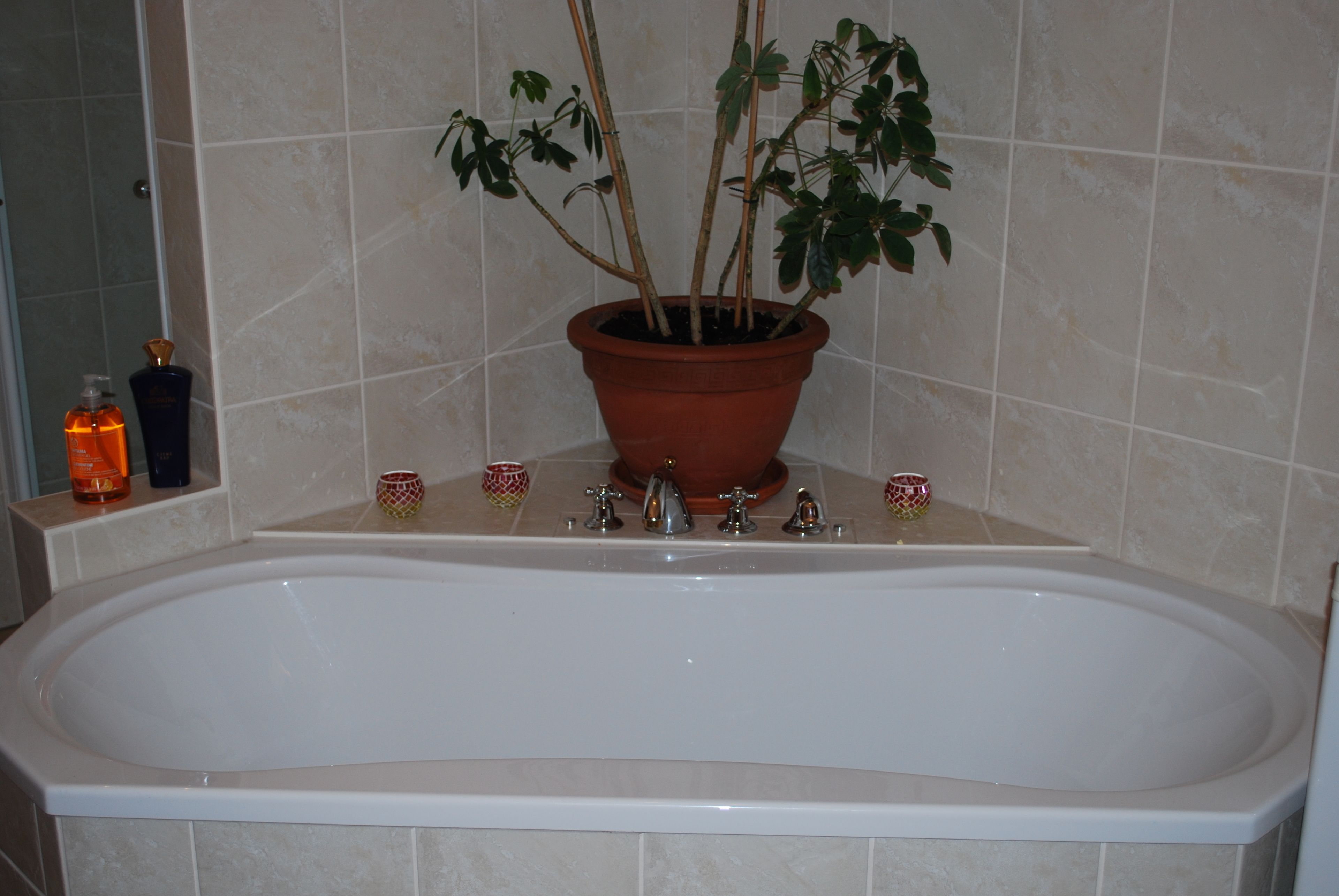 A bathroom with a bathtub, a potted plant, and toiletries on the side.
