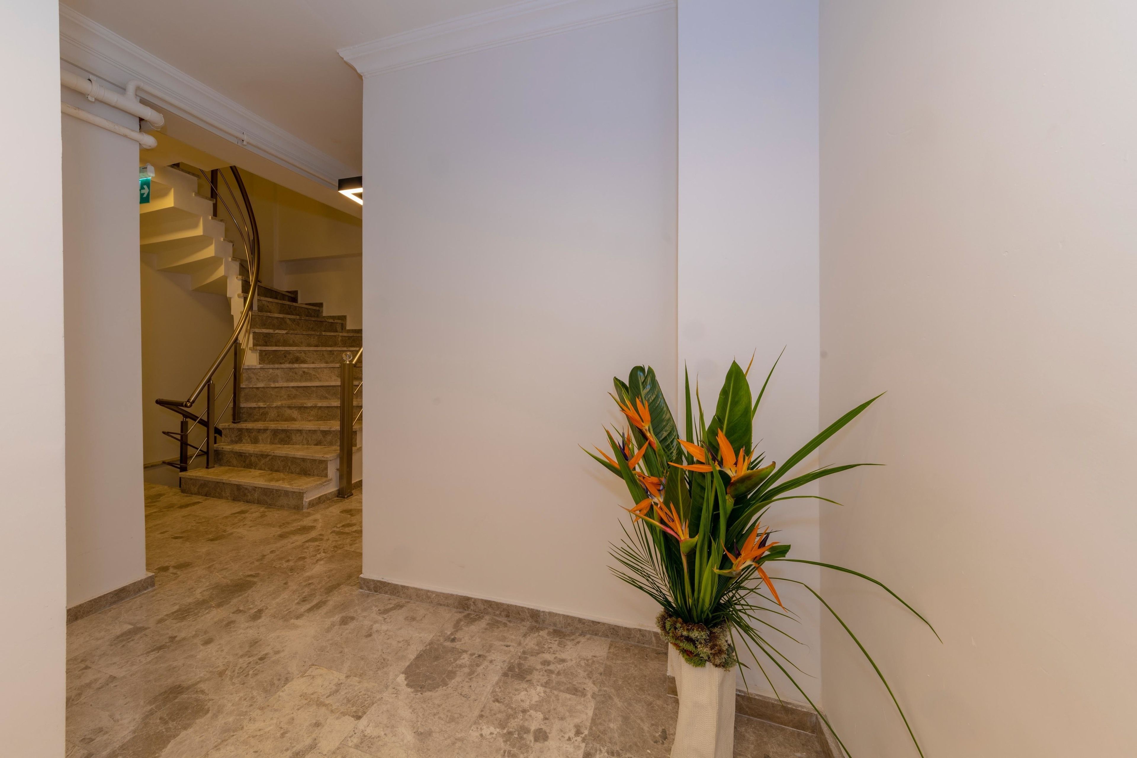Foto - Joy Suites