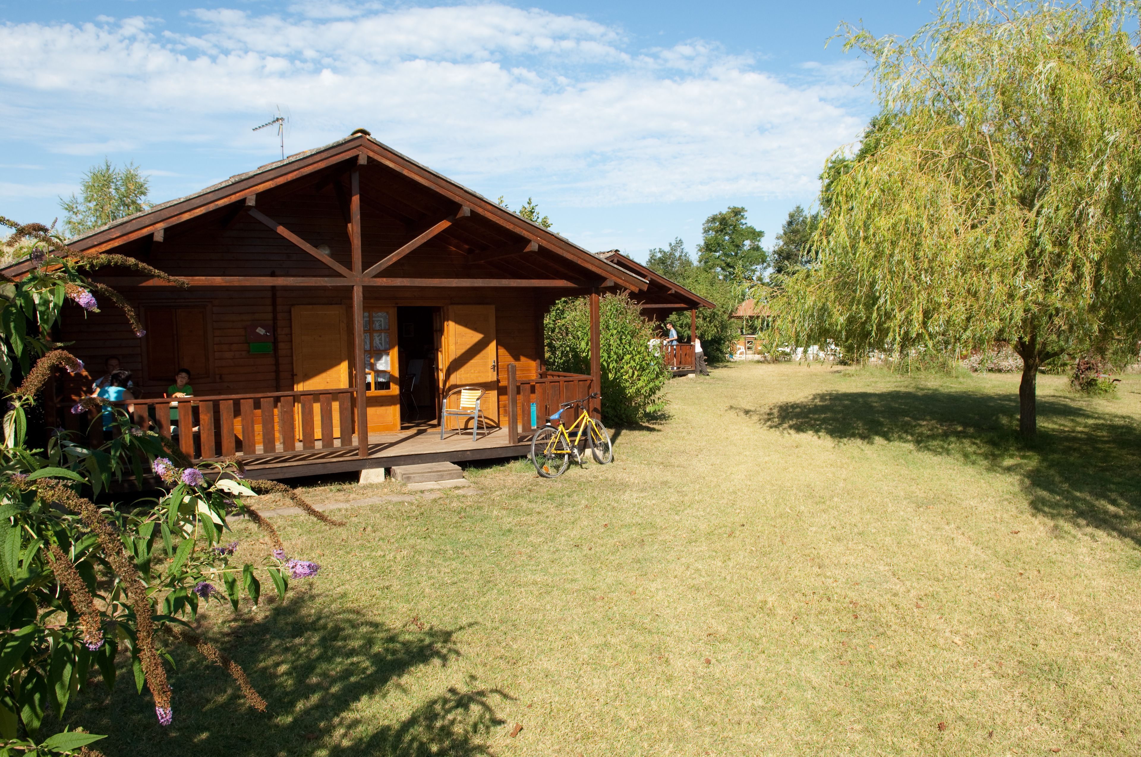 A wooden cabin with a porch, surrounded by a grassy area and a tree.