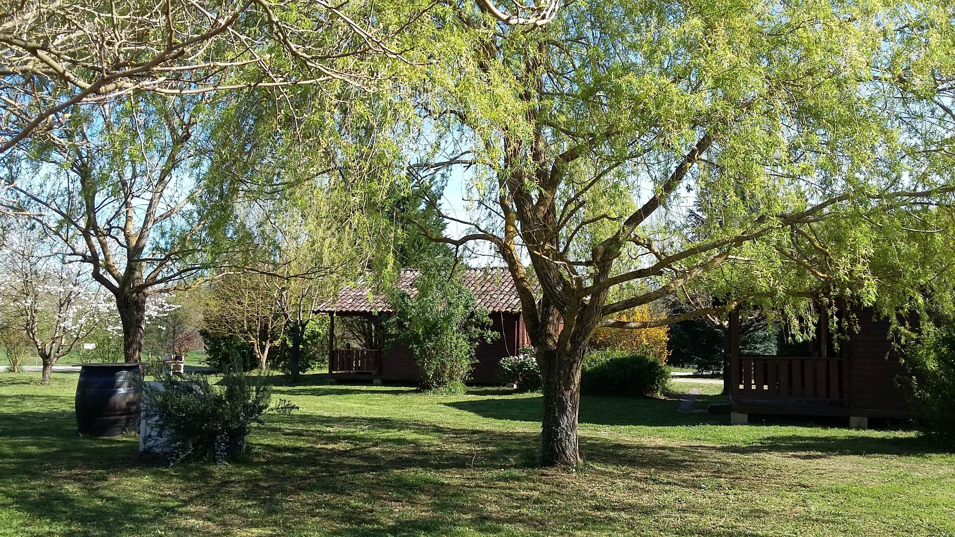 A park with a gazebo, a large tree, and a building with a tiled roof.