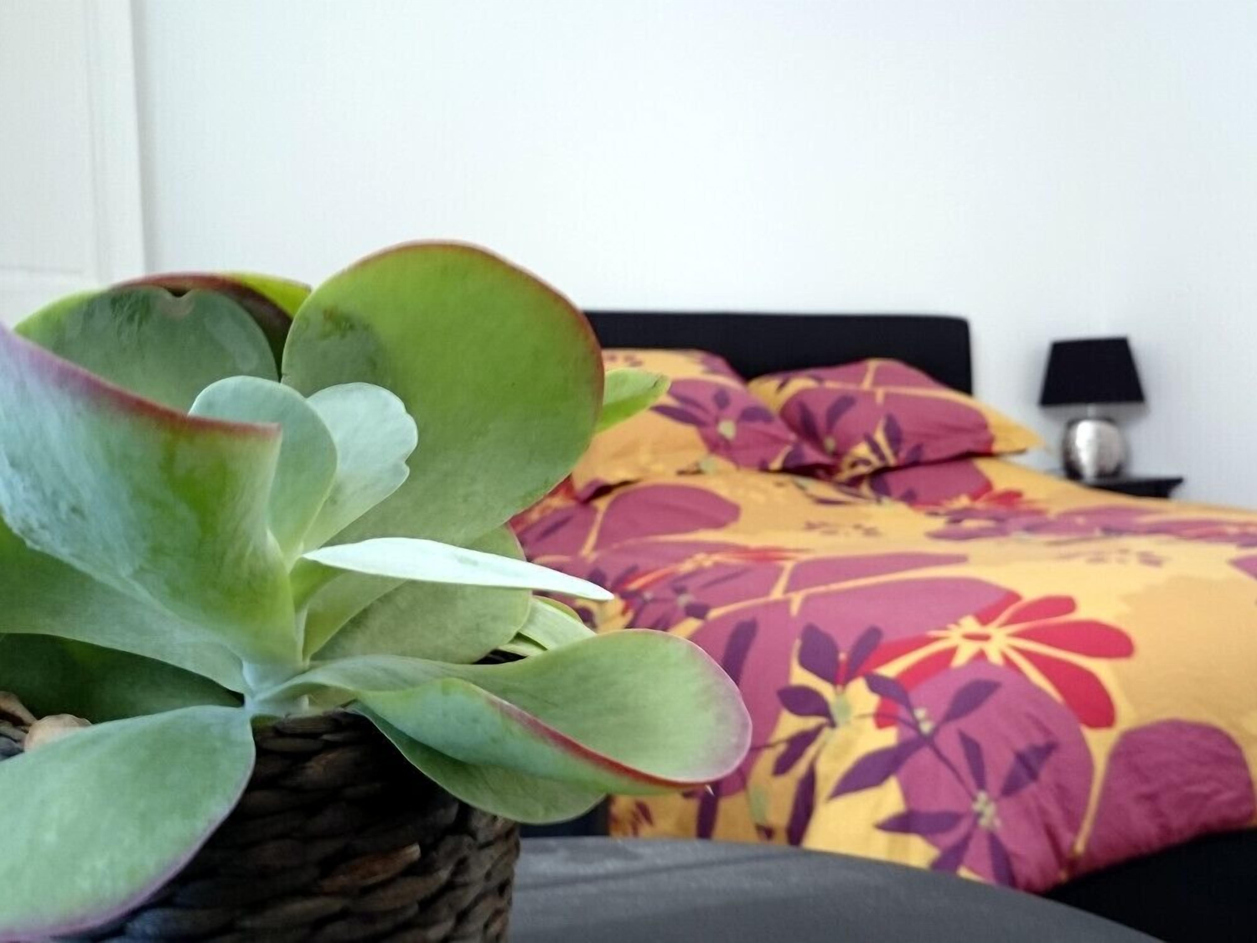 Photo - Le Clos Chez Michel