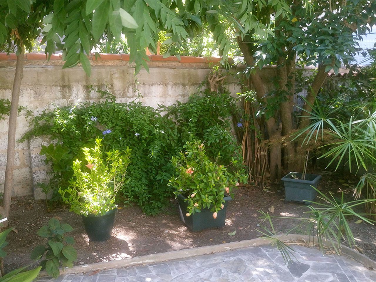 Photo - Le Clos Chez Michel