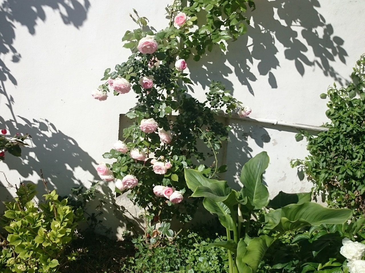 Photo - Le Clos Chez Michel