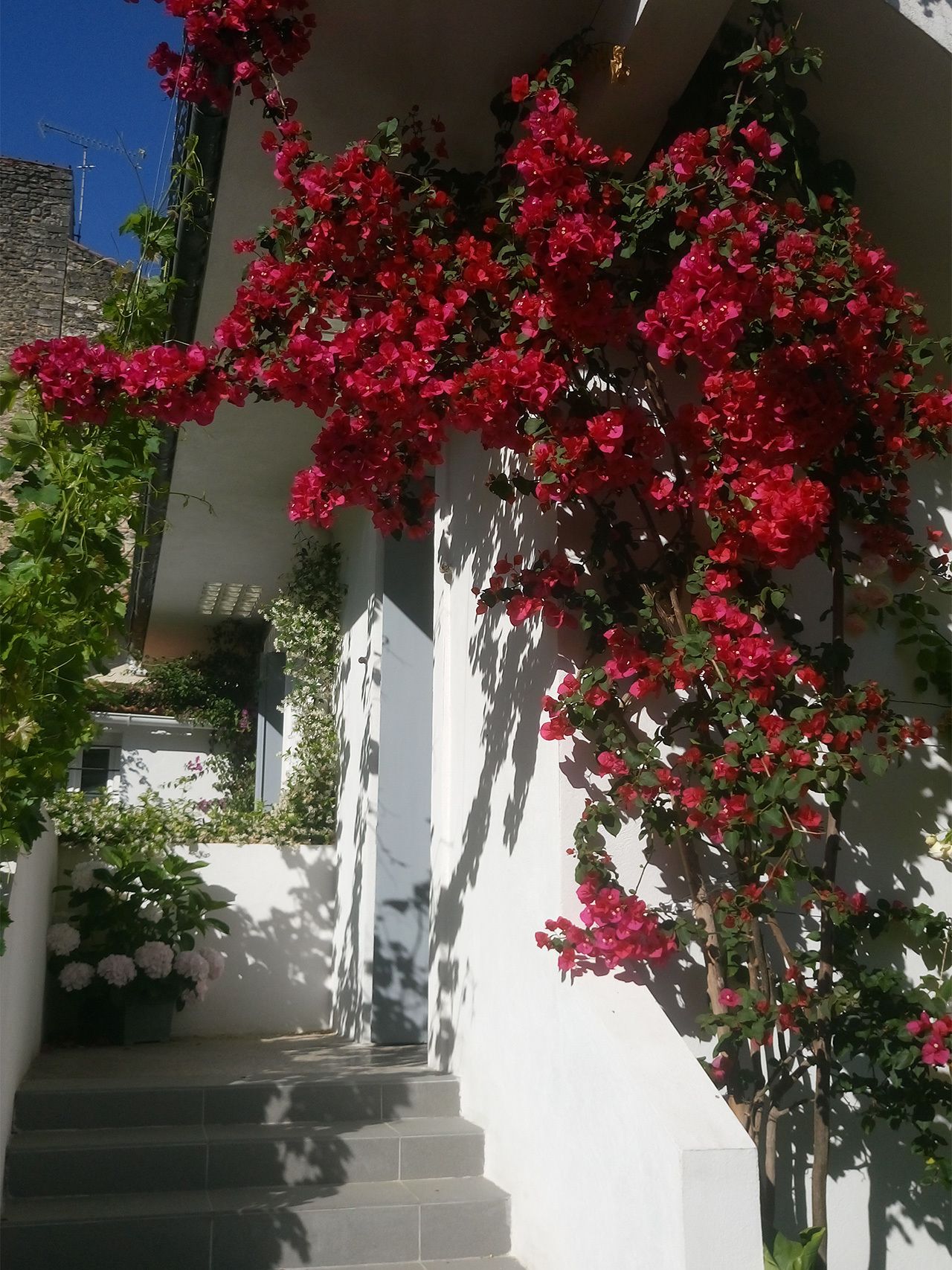 Photo - Le Clos Chez Michel