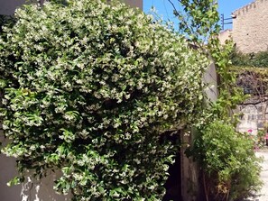 Property grounds - Le Clos Chez Michel (Montpellier)