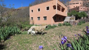 Un edificio de techo plano y varias ventanas, rodeado de un área verde con ovejas y flores púrpuras.