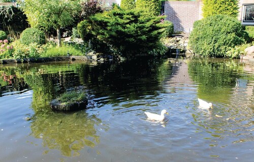 Amazing home in Hoogwoud