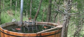 Cabaña con Tinaja Lago Lleu Lleu