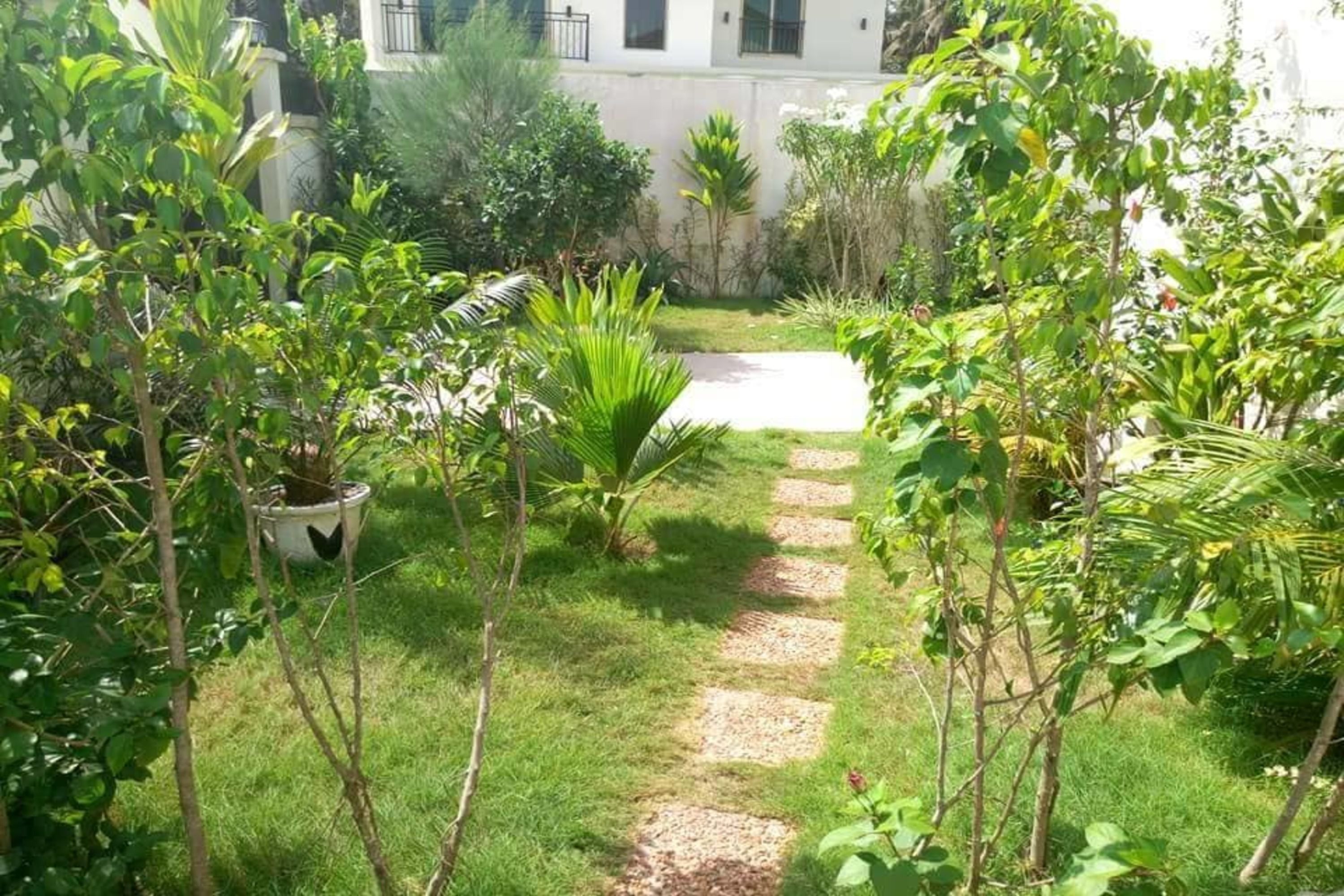 Garden