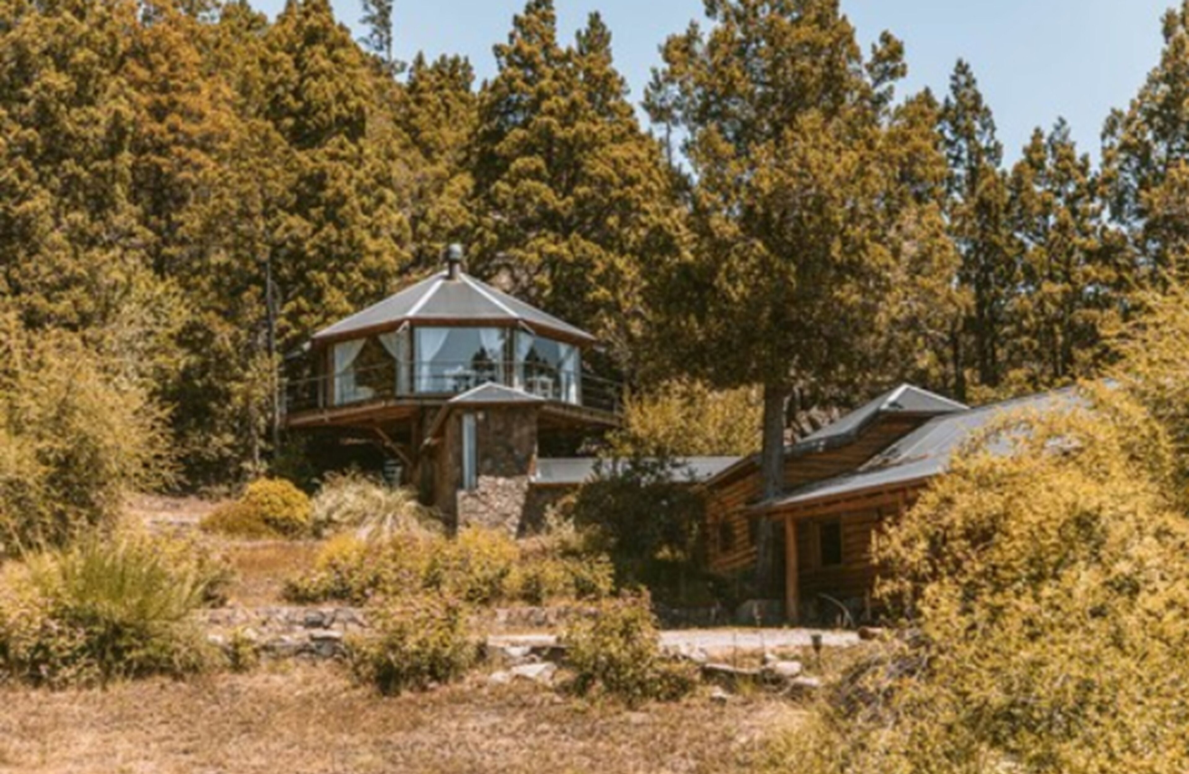 A cabin with a glass-enclosed upper level, surrounded by dense forest.