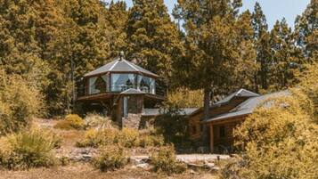 A cabin with a glass-enclosed upper level, surrounded by dense forest.