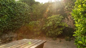 Garden - Classic Victorian House Sleeps 8 in East Brighton (Brighton)