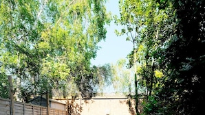 Unclassified image, 5 of 18, button - Fantastic, Spacious 1BR Garden Flat With BBQ (London)