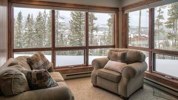 Flat-screen TV, fireplace, DVD player