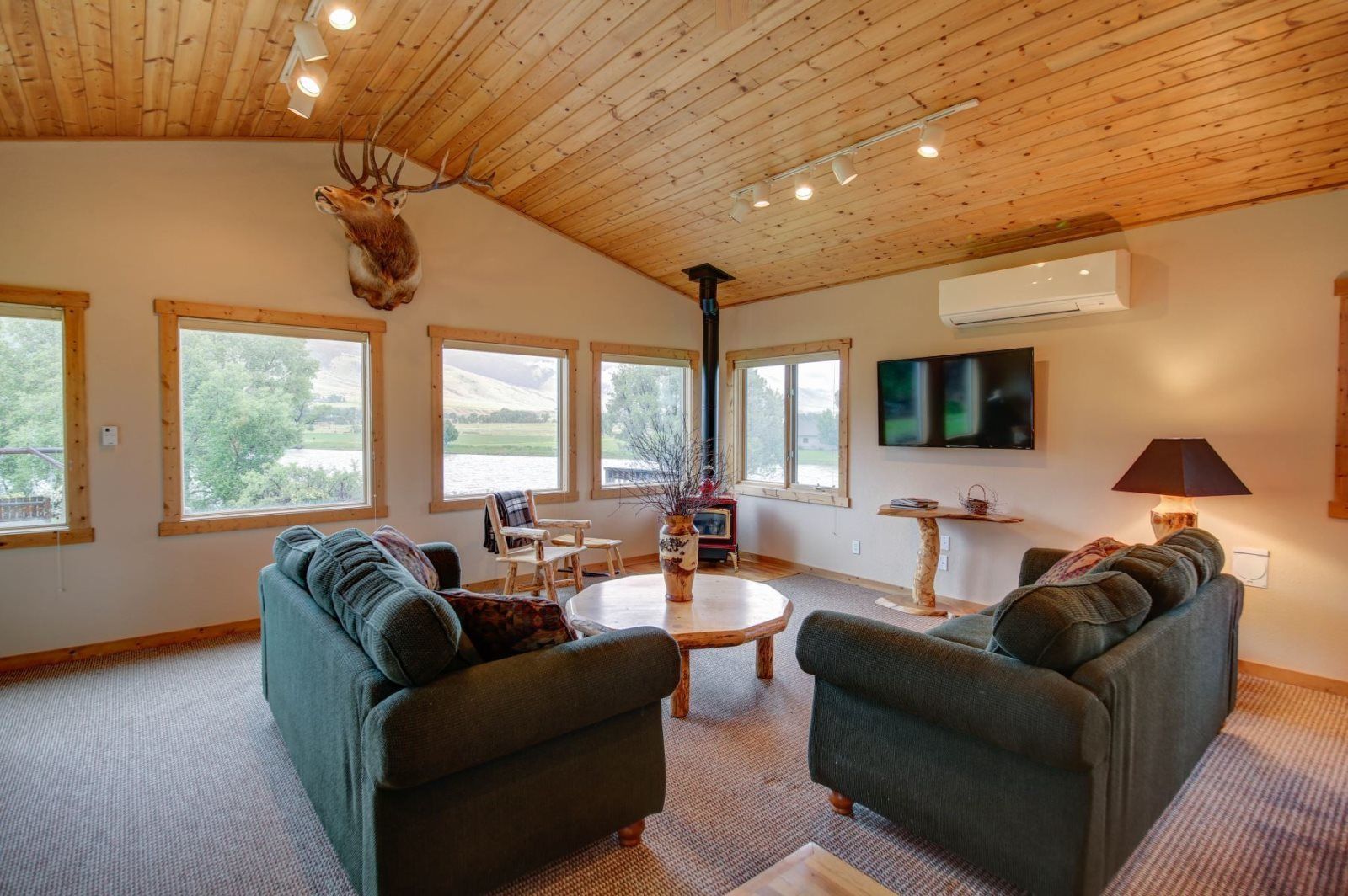 Flat-screen TV, fireplace