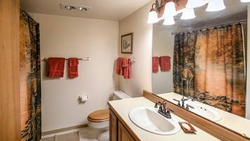 Secador de pelo, jabón, shampoo