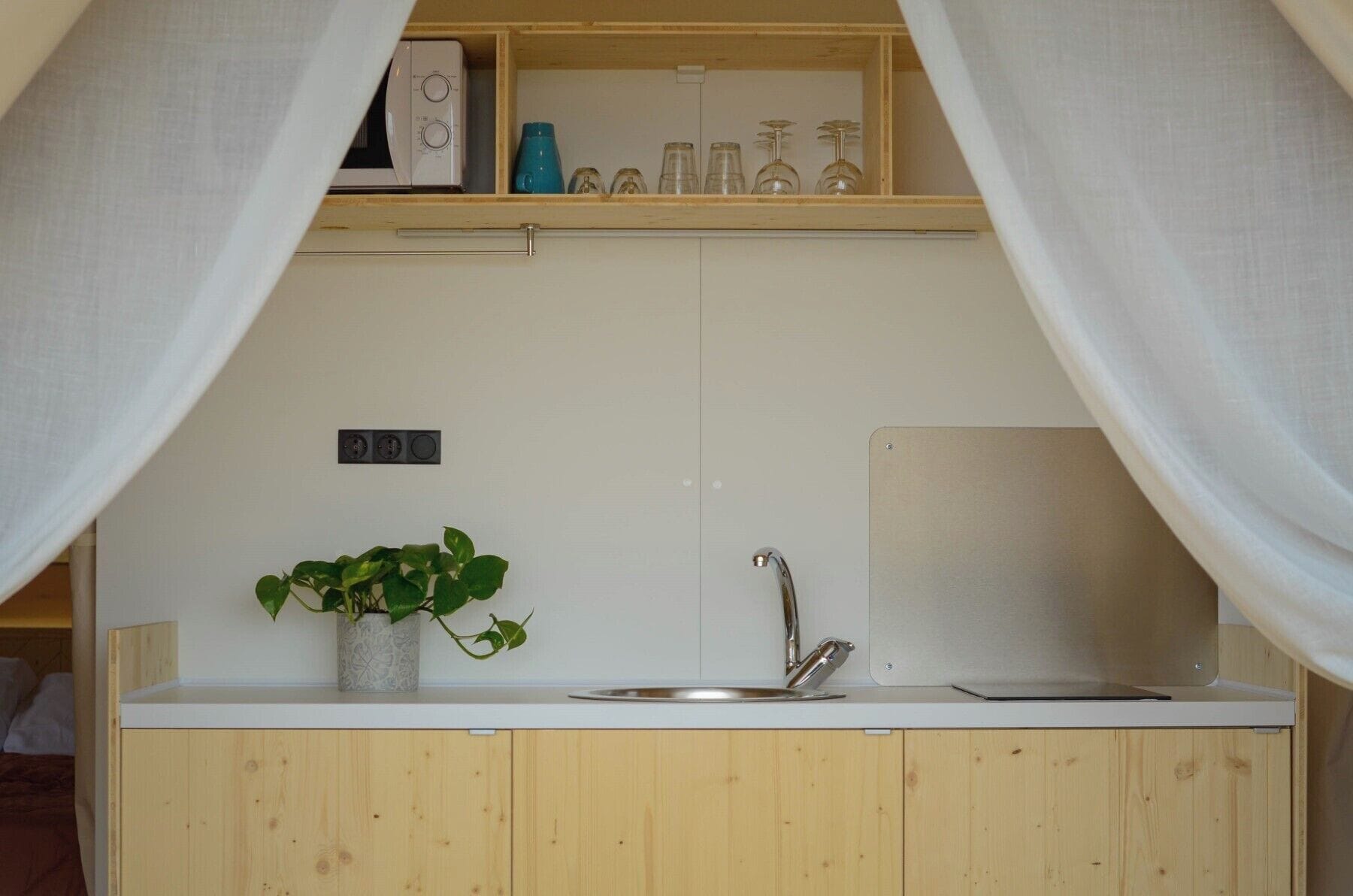 A compact kitchen with a sink, a potted plant, and a shelf above the counter.