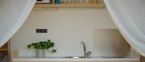 A compact kitchen with a sink, a potted plant, and a shelf above the counter.