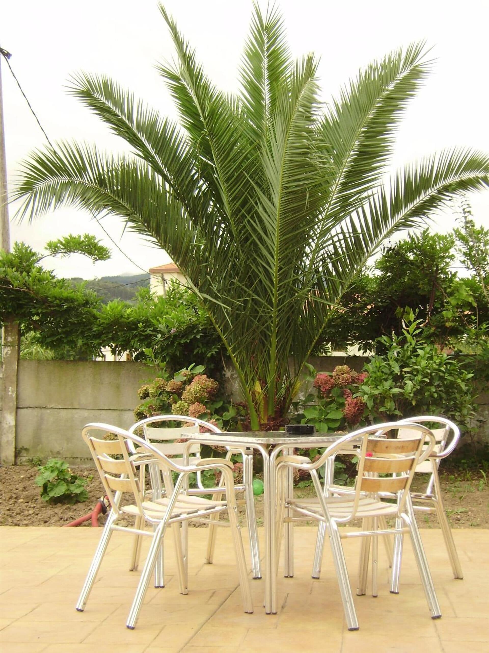 Foto - Hotel Rural Las Palmeras Muskiz