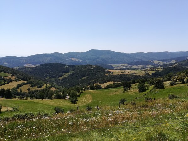 Vista panorámica de un paisaje montañoso con prados verdes y árboles dispersos.
