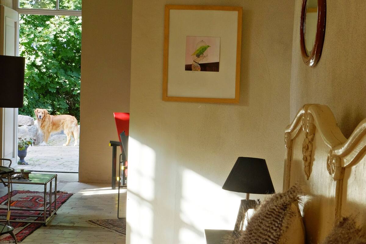 Une chambre à coucher avec un lit, un tableau encadré, un miroir et une vue sur un chien à l’extérieur.