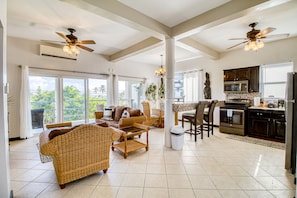 TV, DVD player, books