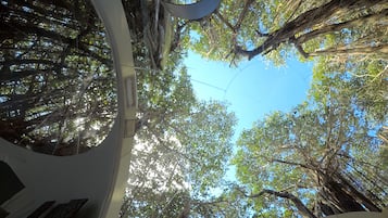 BUBBLE Banyan Tree | 1 개의 침실, 고급 침구, 미니바, 여행용 아기침대