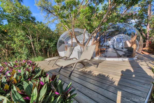 Una estructura en forma de cúpula transparente con una terraza de madera y sillones de descanso.