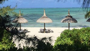 A beach with thatched umbrellas and lounge chairs. - Bubble Lodge Ile aux Cerfs (Trou d'Eau Douce)