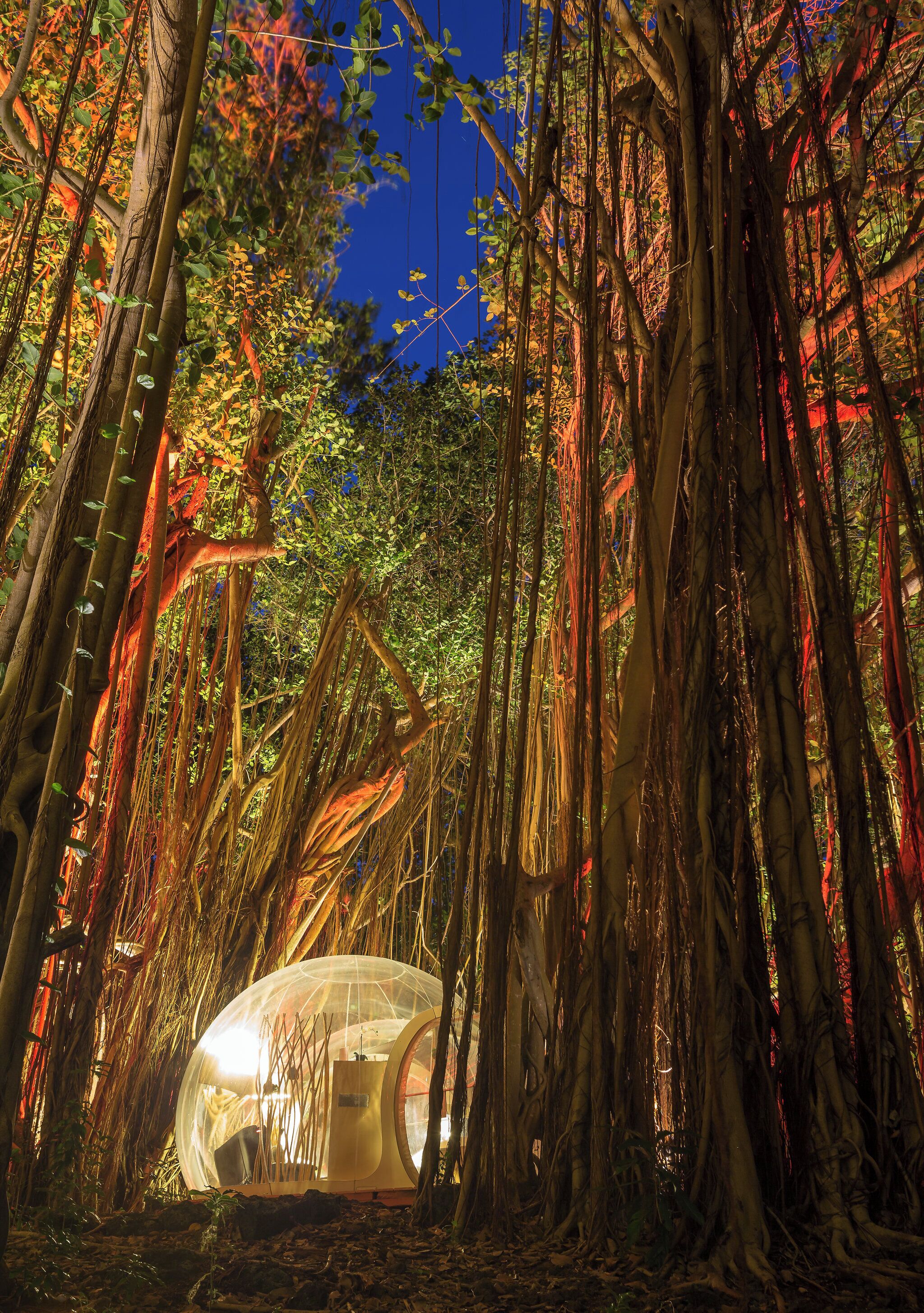 BUBBLE Banyan Tree | Premium bedding, minibar, travel crib, free WiFi