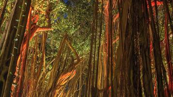 BUBBLE Banyan Tree | Premium bedding, minibar, travel crib, free WiFi