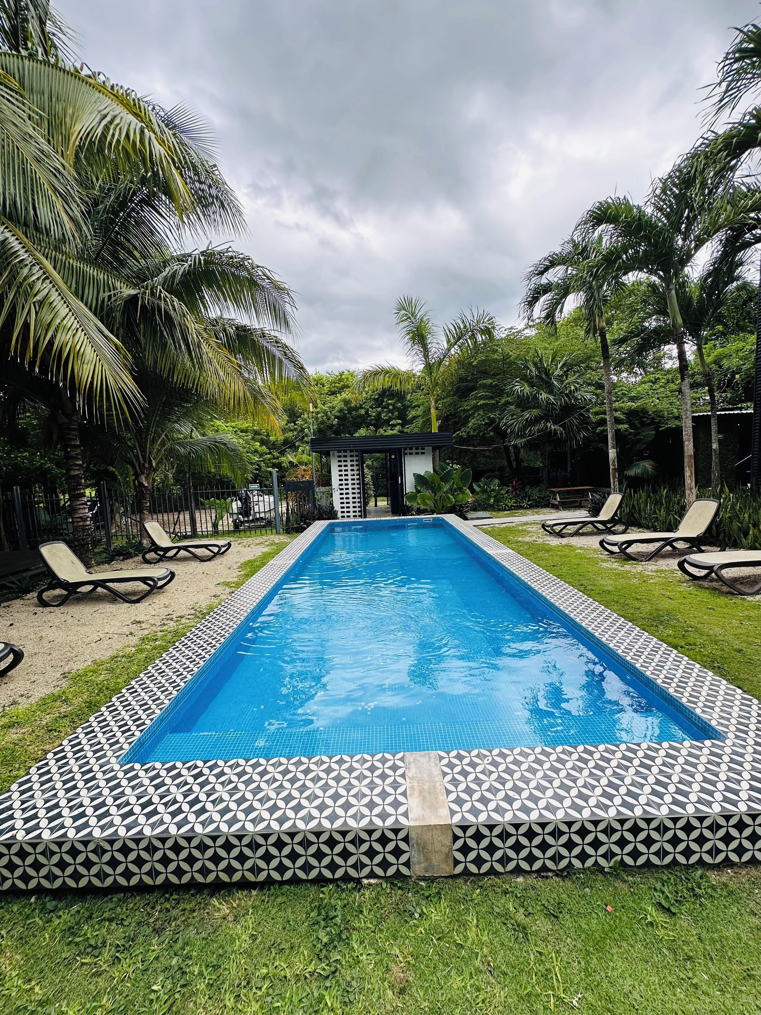 Outdoor pool, sun loungers
