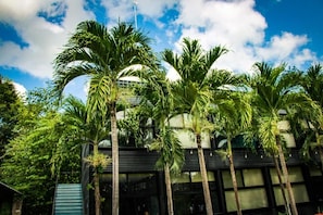 Un edificio de varios pisos, rodeado de altas palmeras.