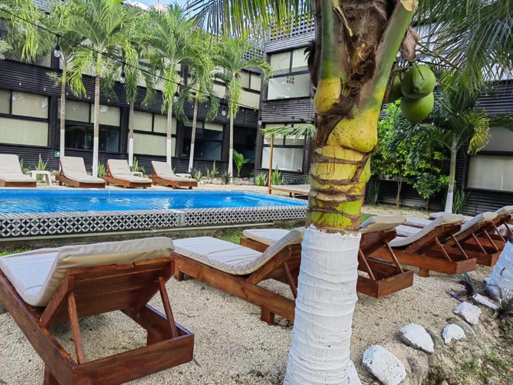 Un espace aménagé au bord de la piscine, avec des chaises longues et un palmier.