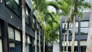 A pathway flanked by tall palm trees and various green plants, leading to a modern building with large windows and a corrugated metal exterior. - Bacalar 102 Hotel (Bacalar)
