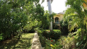 Garden - Seastar Inn (Negril)