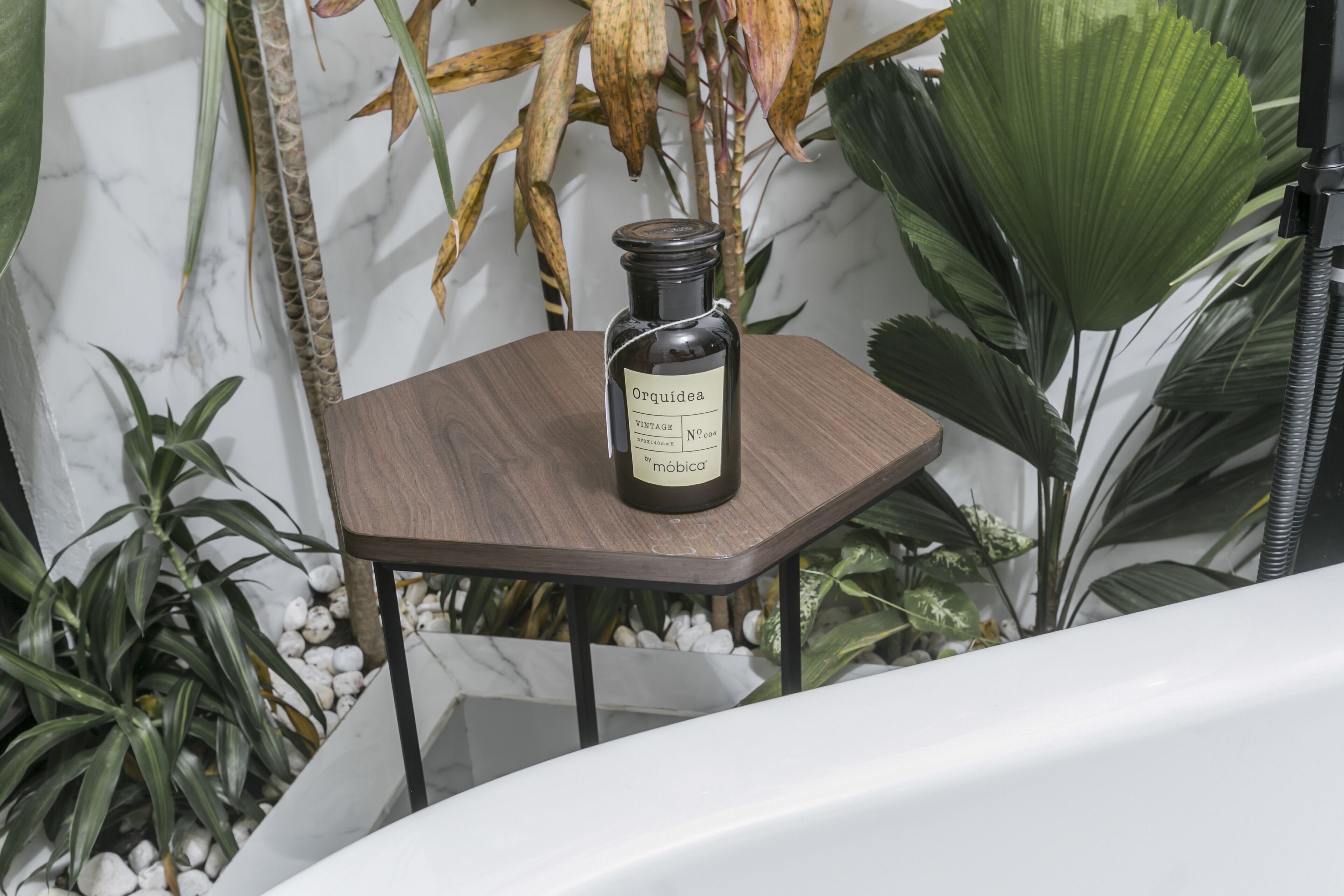 Foto - Orchid House Mexico City