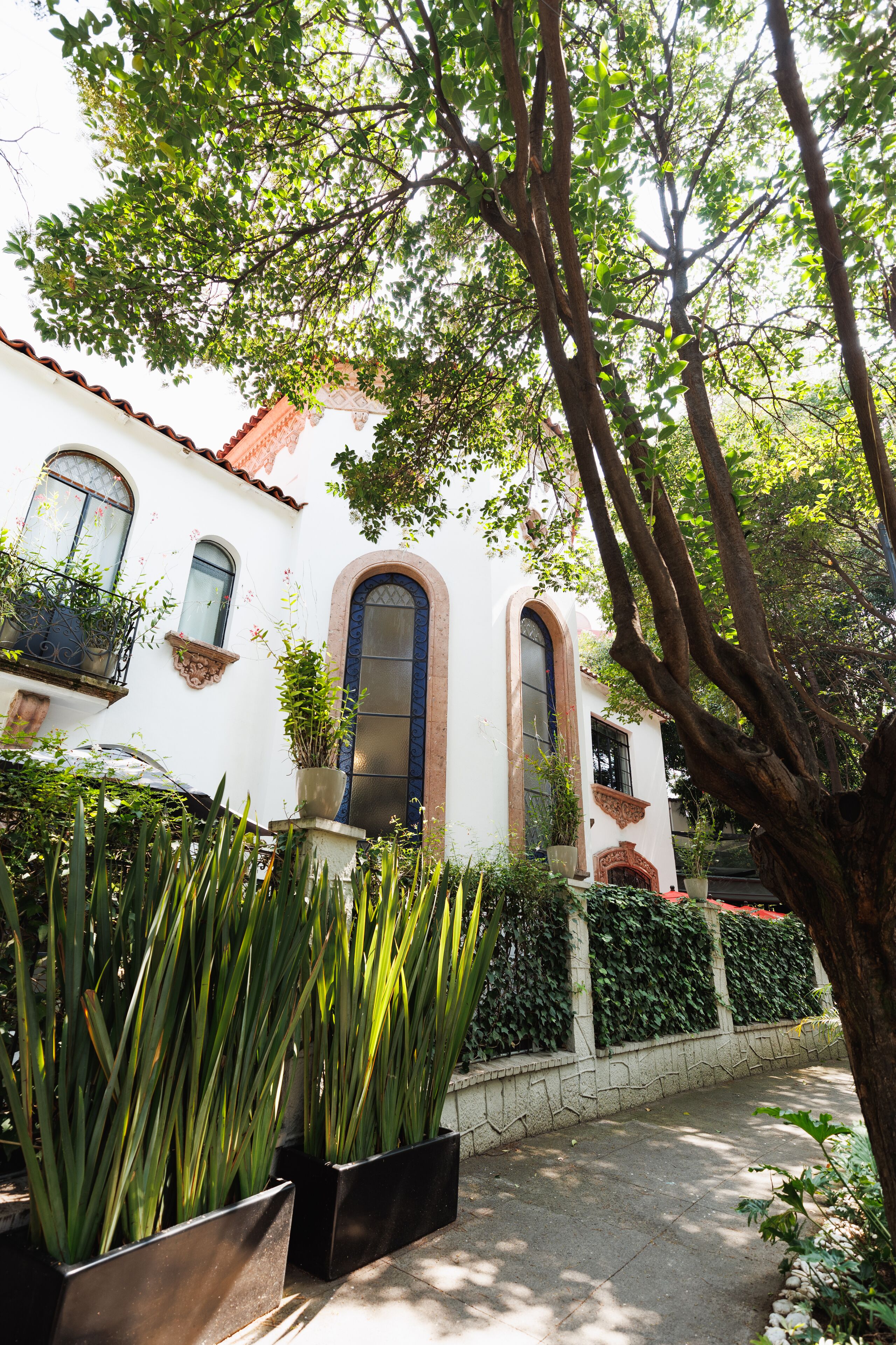 Foto - Orchid House Mexico City