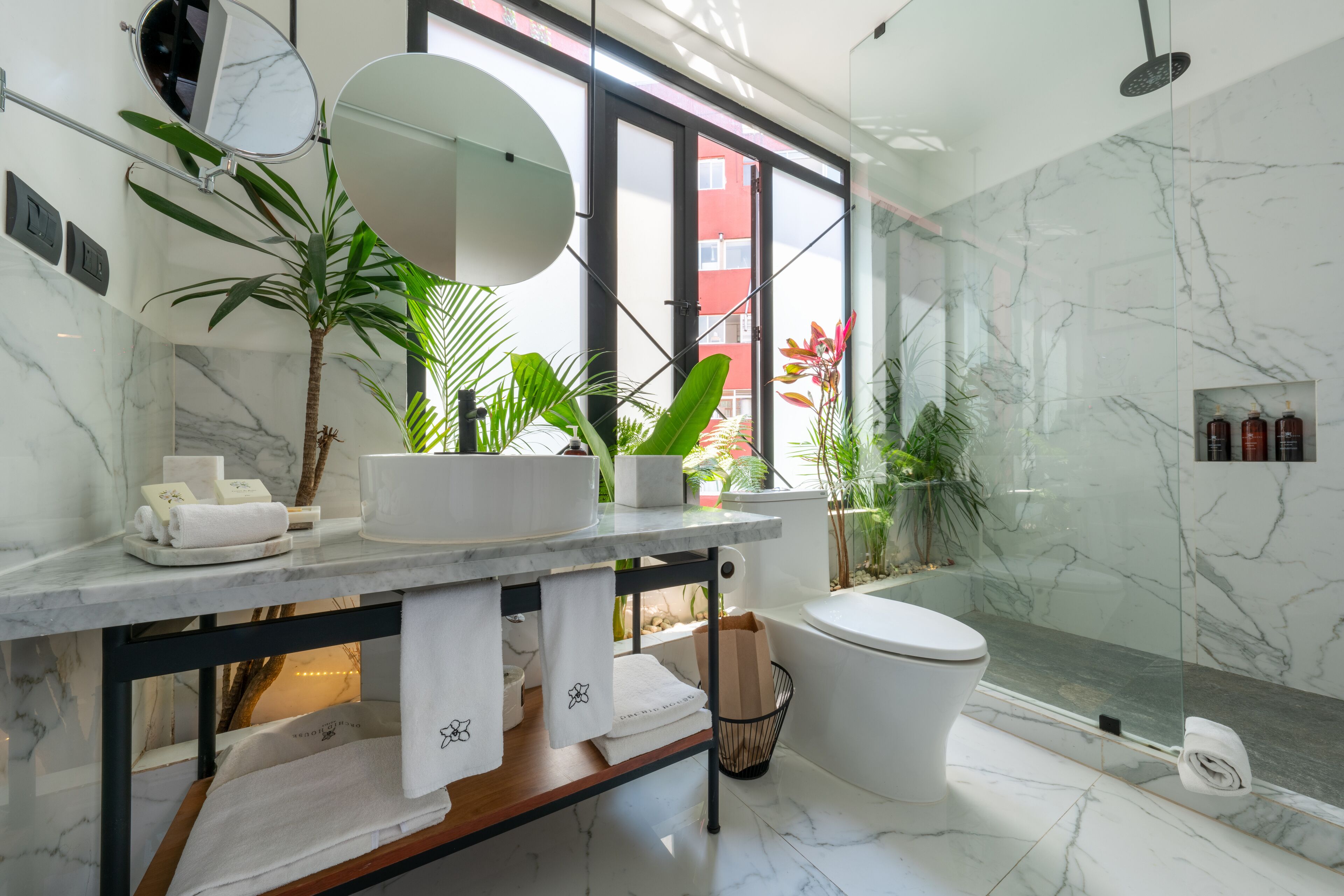 Foto - Orchid House Mexico City