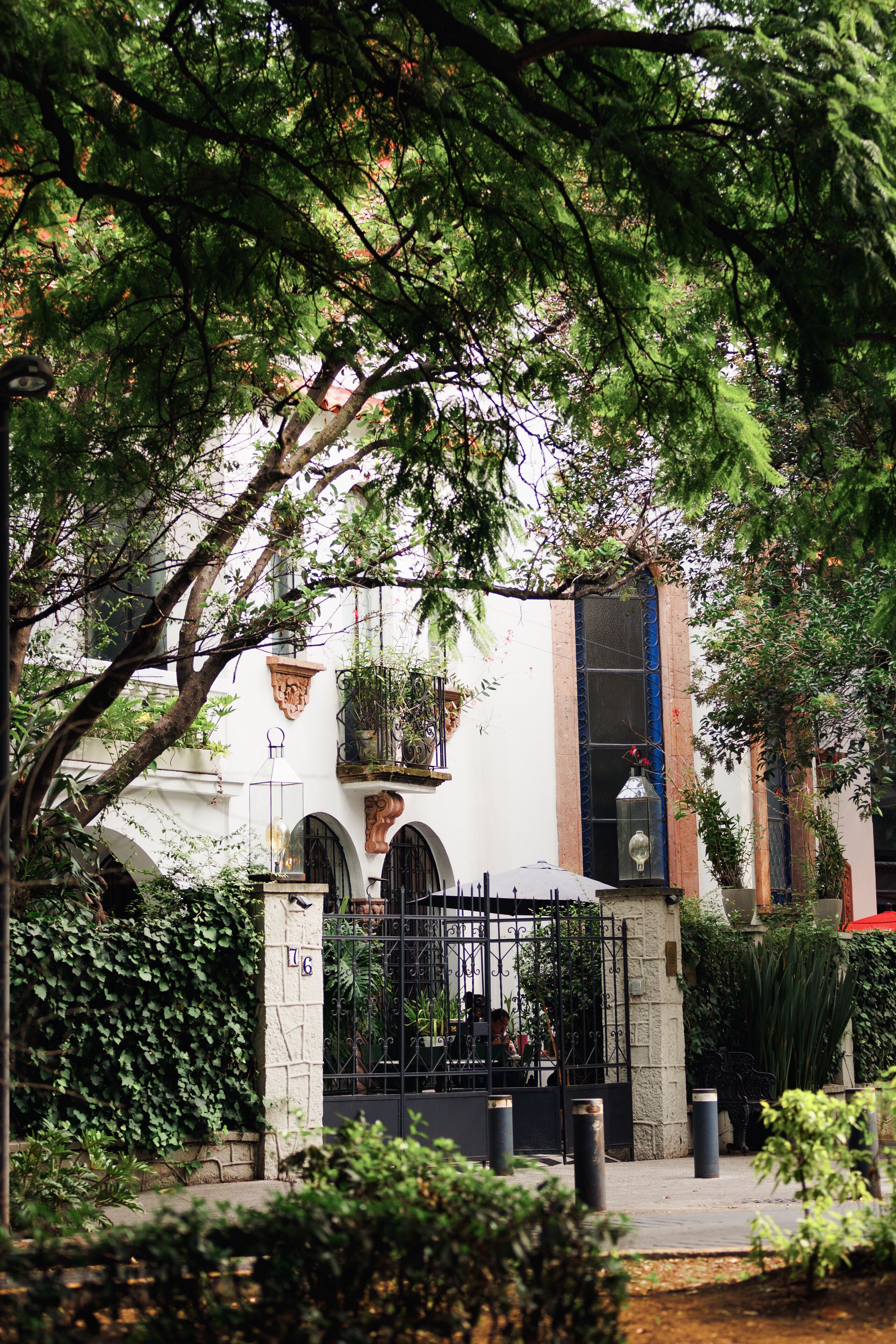 Foto - Orchid House Mexico City